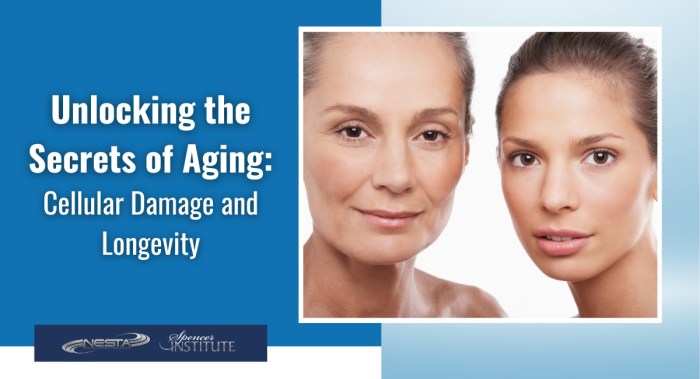 How Does Cellular Health and Damage Affect the Aging Process? - Spencer ...