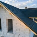 Human Longevity Lab: Potocsnak Longevity Institute: Feinberg School of ...