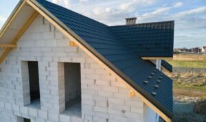 Human Longevity Lab: Potocsnak Longevity Institute: Feinberg School of ...