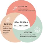 Frontiers | The Longevity Med Summit: insights on healthspan from cell ...