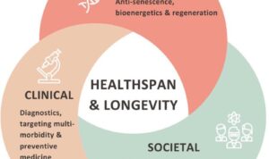 Frontiers | The Longevity Med Summit: insights on healthspan from cell ...