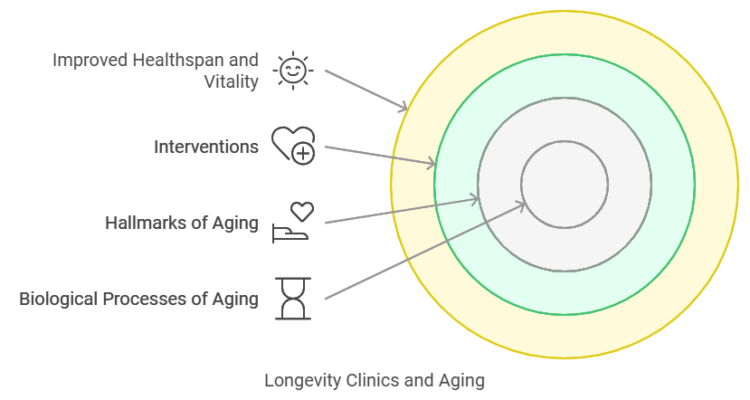 Longevity Clinics: Evaluating Their Value in Extending Lifespan