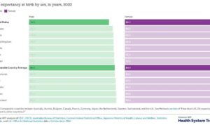 The Strategic Role of Longevity Swaps in Pension Fund Management