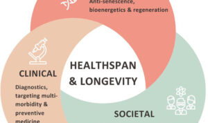 Frontiers | The Longevity Med Summit: insights on healthspan from cell ...