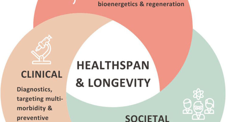 Frontiers | The Longevity Med Summit: insights on healthspan from cell ...